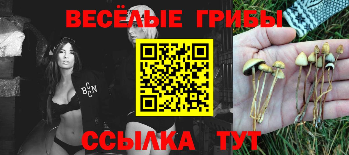 Псилоцибиновые грибы Magic Shrooms  Вход с VPN  Сочи 