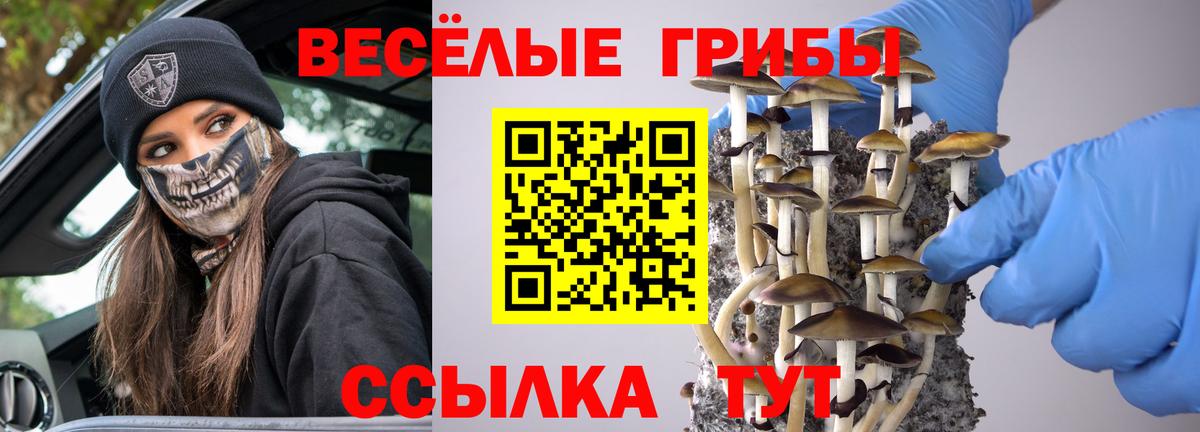 A-PVP Сочи